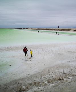 Green Salt Lake 2