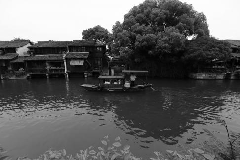 Singing on the green waves 24