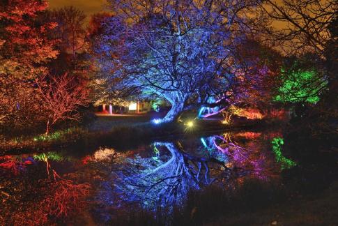 Enchanted Woodland, Syon Park